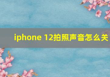 iphone 12拍照声音怎么关